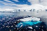 Adult leopard seal (Hydrurga leptonyx), Snow Island, South Shetland Islands, Antarctica, Southern Ocean, Polar Regions