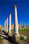 Colonnades of the Gymnasium, Salamis, North Cyprus, Cyprus, Europe