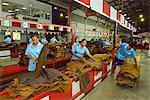 Rubber processing plant, Trang, Thailand, Southeast Asia, Asia