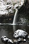 Sgwd Gwladus, Brecon Beacons National Park, Powys, Wales, United Kingdom, Europe