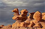 Hoodoo shaped like a duck, Goblin Valley State Park, Utah, United States of America, North America