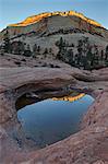Pool in slick rock at dawn, Zion National Park, Utah, United States of America, North America