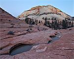 Pools in slick rock at dawn, Zion National Park, Utah, United States of America, North America