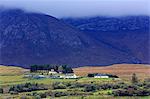 Mountains and rural landscape, Leenane, County Mayo, Connaught (Connacht), Republic of Ireland, Europe