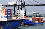 Container ship in Port Everglades, Fort Lauderdale, Florida, United States of America, North America