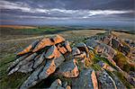 Early morning sunlight lights up the granite rocks of Belstone Tor, Dartmoor National Park, Devon, England, United Kingdom, Europe