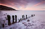 Weathered wooden groyne on Porlock Beach, Exmoor National Park, Somerset, England, United Kingdom, Europe