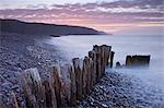 Wooden groyne on Bossington Beach, Exmoor, Somerset, England, United Kingdom, Europe