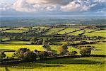 Rolling Dartmoor countryside, Brentor, Devon, England, United Kingdom, Europe