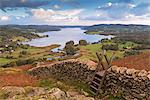 Drystone wall and stile with views to Windermere in autumn, Lake District National Park, Cumbria, England, United Kingdom, Europe