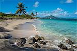 Beach at Long Haul Bay, Nevis Island, St. Kitts and Nevis, Leeward Islands, West Indies, Caribbean, Central America