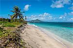 Beach at Long Haul Bay, Nevis Island, St. Kitts and Nevis, Leeward Islands, West Indies, Caribbean, Central America