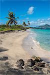 Beach at Long Haul Bay, Nevis Island, St. Kitts and Nevis, Leeward Islands, West Indies, Caribbean, Central America