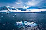 Floating, icebergs, Mikkelson Island, Antarctica, Polar Regions