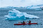 Kayakers paddling through the water near the Port Lockroy research station, Antarctica, Polar Regions