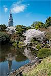 Cherry blossom in the Shinjuku-Gyoen Park, Tokyo, Japan, Asia