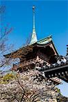 Pagoda in the cherry blossom in the Maruyama-Koen Park, Kyoto, Japan, Asia