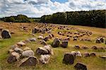 Viking burial ground, Lindholm Hoje, Aalborg, Jutland, Denmark, Scandinavia, Europe