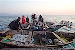 Fishermen on Lake Tanganyika early morning fishing for cichlids to sell in the local fish market, Zambia, Africa