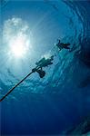 Two scuba divers descending down a line, part silhouette, low angle view, Ras Mohammed National Park, Red Sea, Egypt, North Africa, Africa