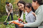 Happy family harvesting vegetables in garden