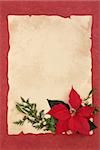 Poinsettia flower, mistletoe, ivy, holly and pine leaf border over parchment and red mottled background.