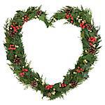 Christmas heart wreath with holly, mistletoe, ivy, pine cones and cedar leaf sprigs over white background.