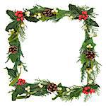 Christmas floral border with holly, mistletoe, ivy, conifer leaf sprigs and pinecones over white background.
