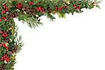 Christmas and winter floral border with natural holly, mistletoe, ivy, fir leaf sprigs and pinecones over white background.