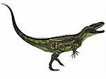Torvosaurus is a large theropod dinosaur that lived during the Late Jurassic Period in North America and Portugal.