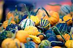 Miniature pumpkins