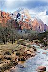 Virgin River Narrows in Zion National Park - Utah