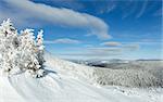 Morning sunny winter mountain landscape (Carpathian, Ukraine).