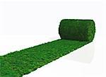a roll of grass carpet is unrolling in one direction on a white background