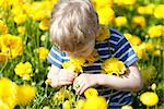cute little boy smelling beautiful yellow flowers