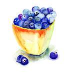 Fresh blueberries in plate, watercolor illustration