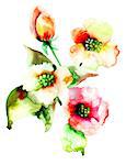 Colorful Summer flowers, watercolor painting