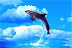 Nice dolphin make high jump from water against blue sky with clouds