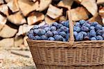 Fresh organic plums in a wicker basket