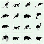 Set of Animal of Australia icons