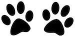 Footprint of two dogs