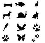 A variety of animal silhouettes