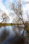 Autumn landscape with a river and trees