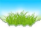 Illustration nature card with green grass - vector