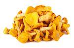 Heap of chanterelle mushrooms isolated on white background