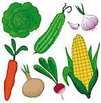 Vegetables on white background - vector illustration.