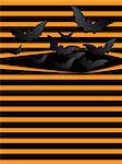 Halloween Background Scary Bats Orange