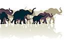 Editable vector illustration of an elephant herd with reflections