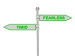 Signs with green "TIMID" and "FEARLESS" pointing in opposite directions, Isolated on white background, 3d rendering