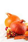 Autumn arrangement with Hokkaido pumpkins, berries and physalis on white background